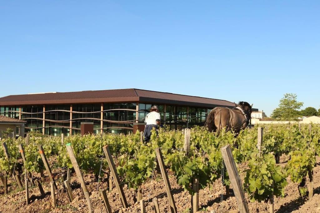 Bel En Pierre De 88 M2 Charme D'antan Margaux-Cantenac